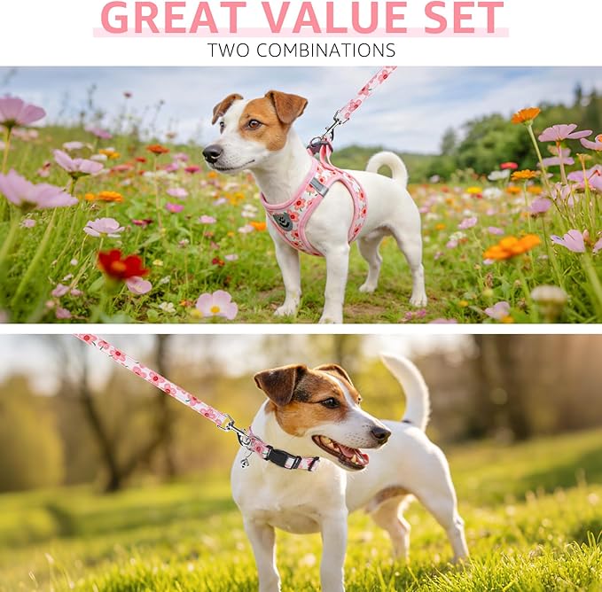 SCENEREAL Small Dog Harness and Leash Collar Set, Step in Soft Light Puppy Vest, Breathable Pet Harness for Small Sized Dogs, No Chock Reflective for Safe Outdoor Walking, Pink Flower S