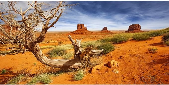 AWERT 72x24 inches Reptile Habitat Background Orange Desert Terrarium Background Durable Polyester Background