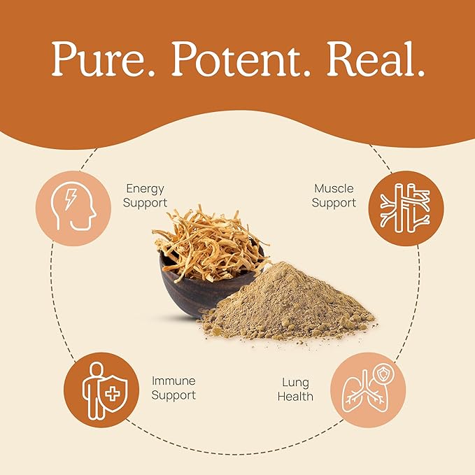 Real Mushrooms Cordyceps Capsules - Performance Mushroom Extract Supplement with Organic Militaris for Energy Immune Support Vegan Supplement, Non-GMO, 120 Caps