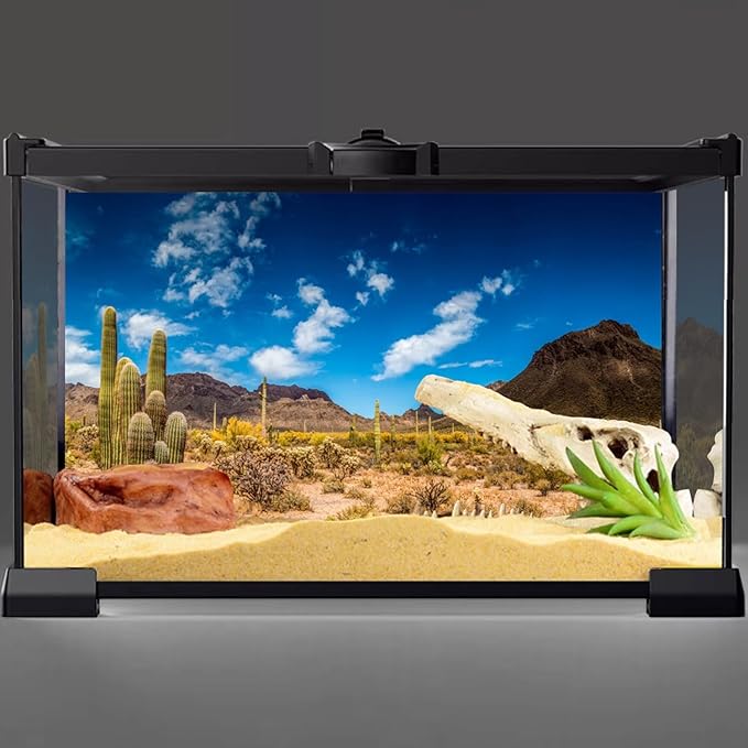 AWERT 36x18 inches Reptile Habitat Background Blue Sky Oasis Cactus Desert Terrarium Background Durable Polyester Background