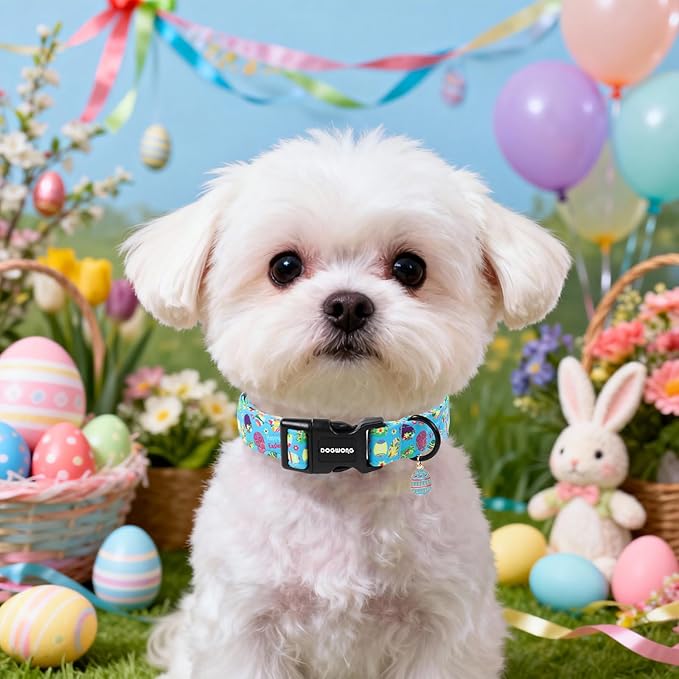 DOGWONG Easter Dog Collar, Cute Easter Egg Pet Collar Durable Holiday Girl Boy Adjustable Cotton Dog Collars with Quick Release Buckle for Small Dogs,S Visit The Elegant Little Tail Store