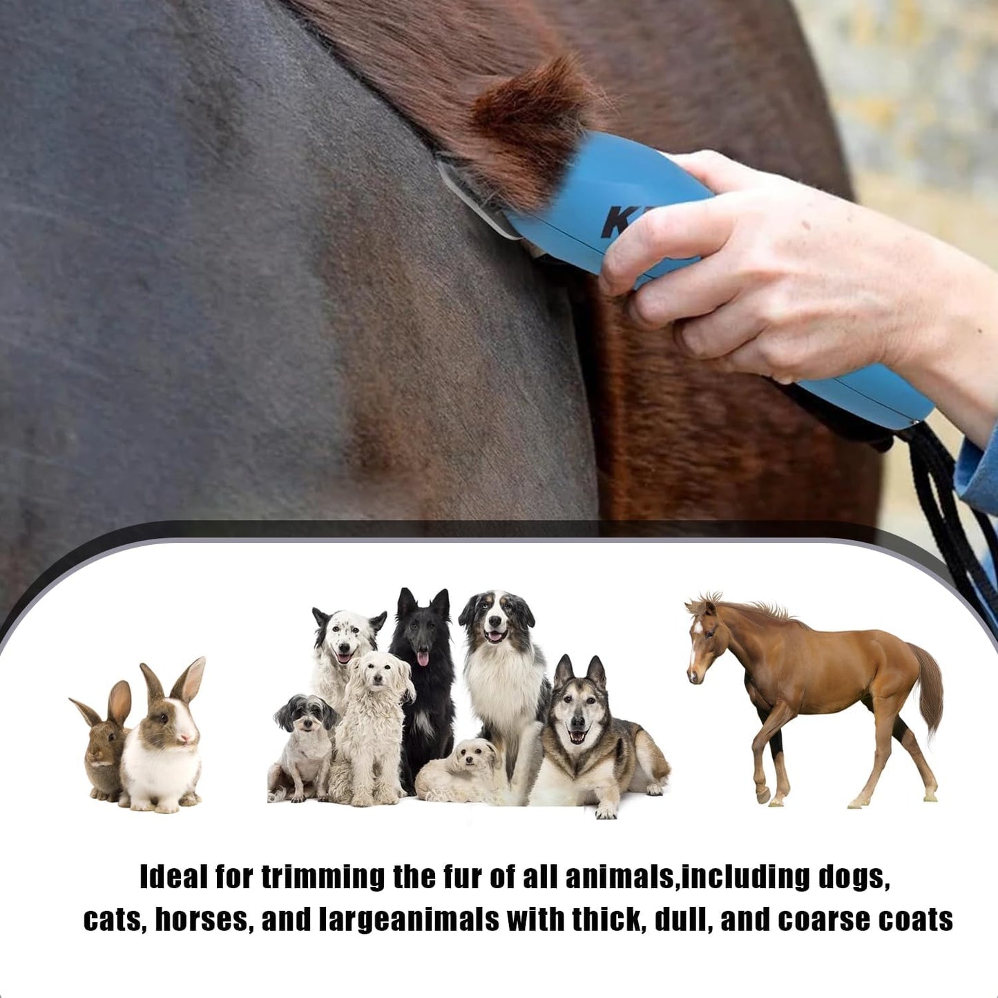 4PCS Wide Blades for Dog Grooming Blades Compatible with Andis,Oster A5,Wahl km10 Dog Clippers Stainless Steel Blades for Animal Dog,Cat,Horse,Silver Size: #10W+30W+5FW+7FW