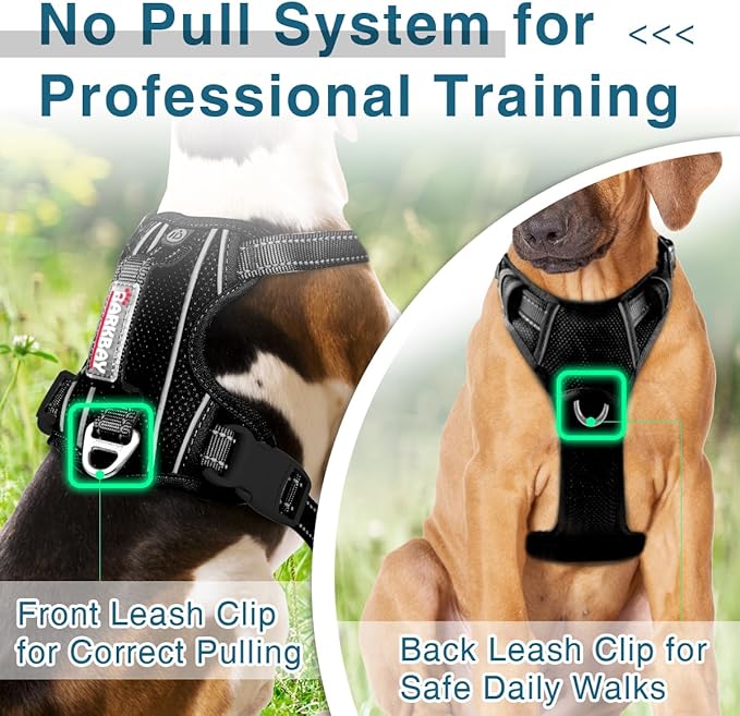 BARKBAY Dog Harness No Pull with ID Tag Pocket - Heavy Duty, Reflective, Easy Control for Small Dogs(Black,S)