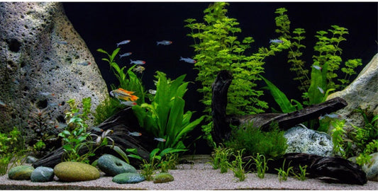 AWERT Vinyl Underwater Aquatic Plant Fish Tank Background Stone River Bed & Lake Aquarium Background 30x12 inches