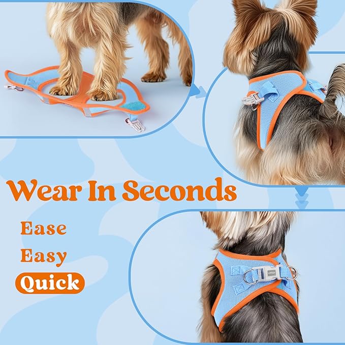 rabbitgoo Small Dog Harness, Step-in Soft Mesh Puppy Vest with Safety Buckle, Breathable Reflective Pet Harness for Extra Small Dogs, Blue & Orange XXXS