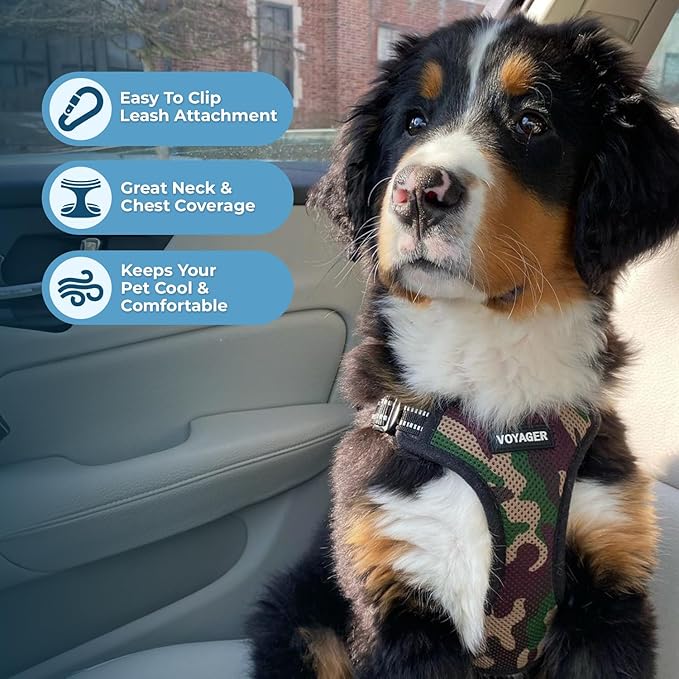 Best Pet Supplies Voyager Adjustable Step-in Flex Breathable Mesh Dog Harness for Small Medium Large Dogs Leash Set (Army Base), XL