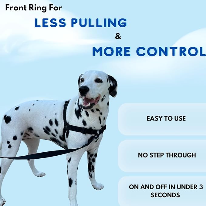 ShawnCo Dream Walk No-Pull Dog Harness- Adjustable, Comfortable, Easy to Use Pet Halter to Help Stop Pulling for Small, Medium and Large Dogs (Oceanic Blue, L)