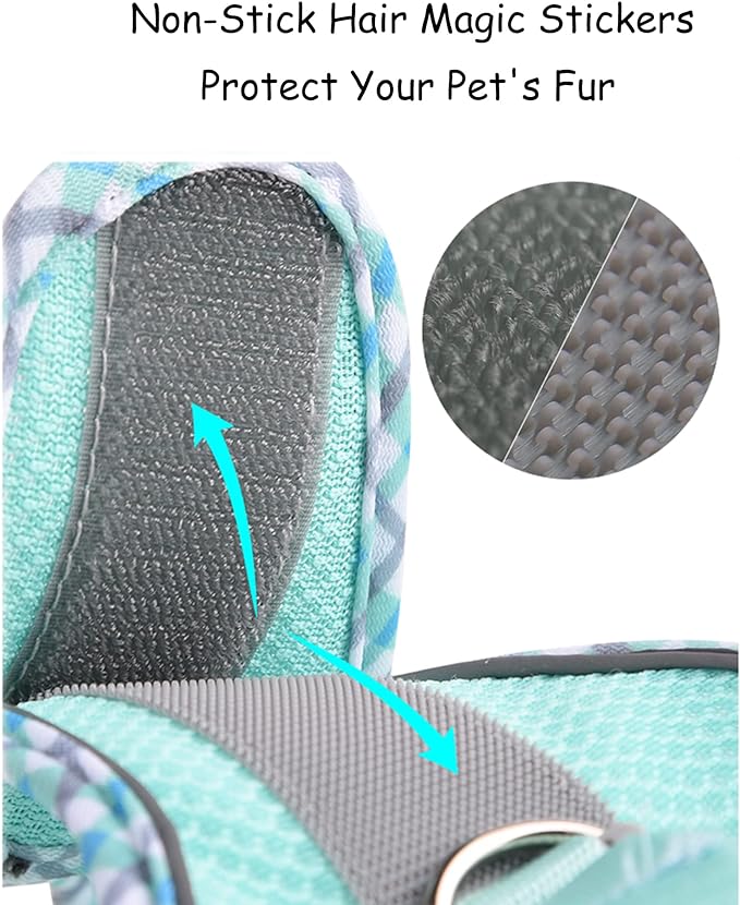 Petank Dog Harness for Small Medium Dogs No Pull, Puppy Harness and Leash Set,Step in Dog Harness for Walking, Running, Training, Small Dog Vest(Light Blue, XXS)