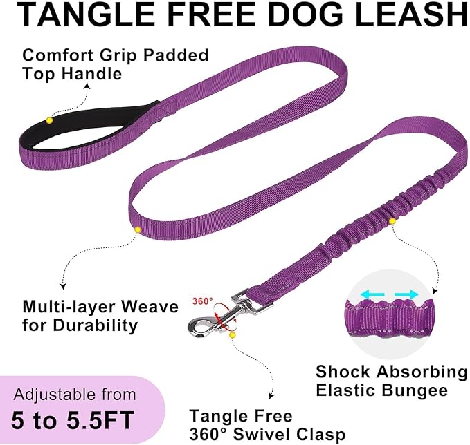 BEAUTYZOO Dog Harness for Small Dogs, No Pull Dog Harness and Leash Set, Soft Escape Proof Puppy Vest Harness with Handle, Reflective Lightweight Step in Harness for Girl Boy Dogs, Purple XS