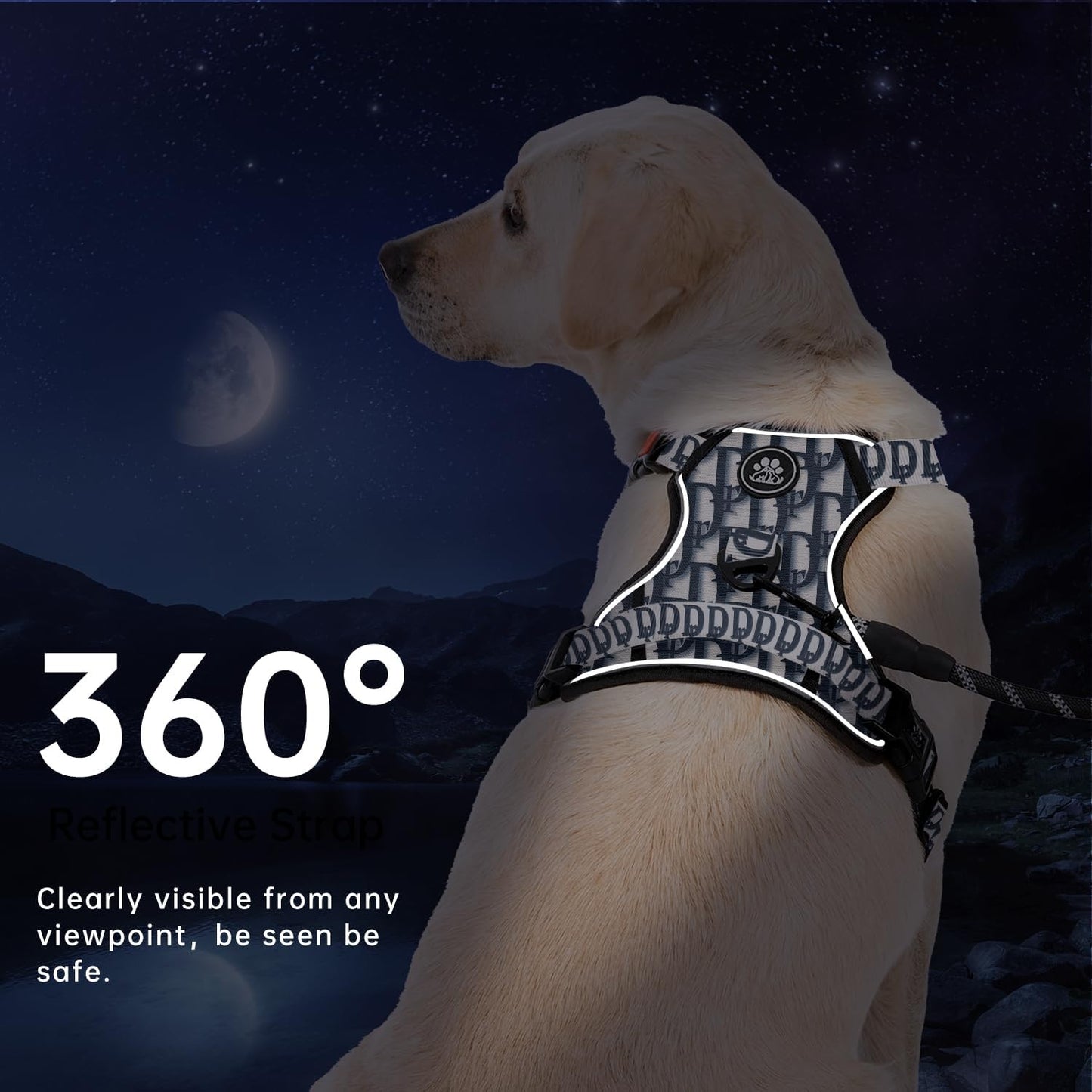 IVY&LANE No Pull Dog Harness with Leash Set, Reflective No Choke Pet Vest,Adjustable Oxford Dog Vest Harness with Easy Control Handle for Large Dogs (Vintage Blue,XL)