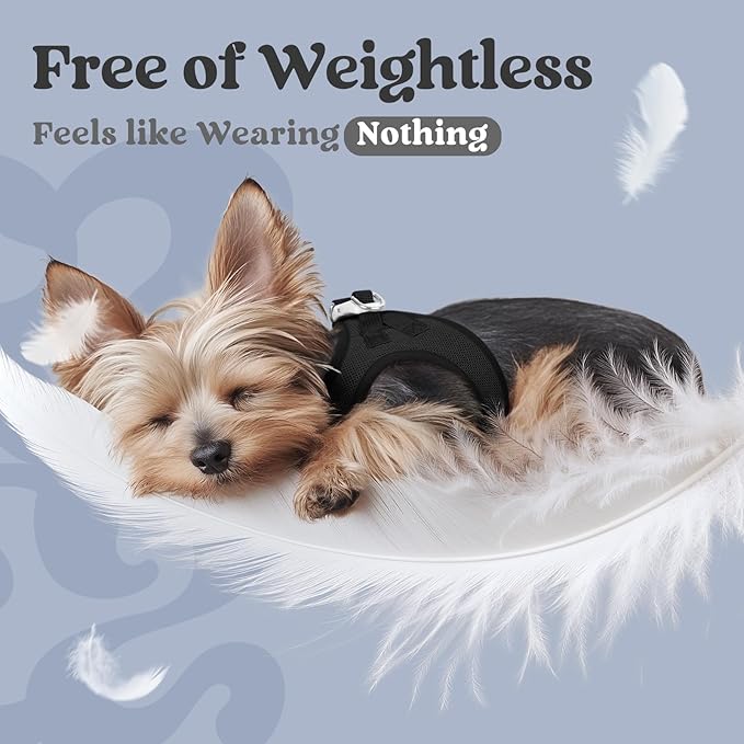 rabbitgoo Small Dog Harness, Step-in Soft Mesh Puppy Vest with Safety Buckle, Breathable Reflective Pet Harness for Extra Small Dogs, Black XXXS