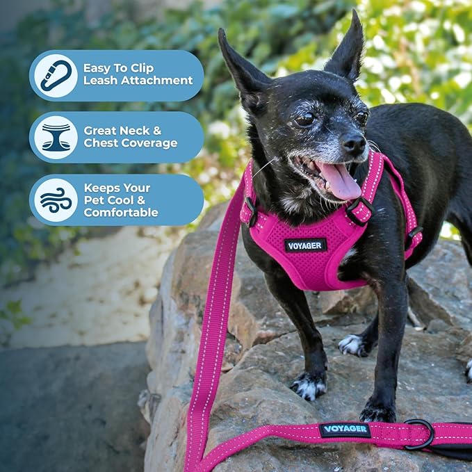Best Pet Supplies Voyager Adjustable Step-in Flex Breathable Mesh Dog Harness for Small Medium Large Dogs (Fuchsia), S