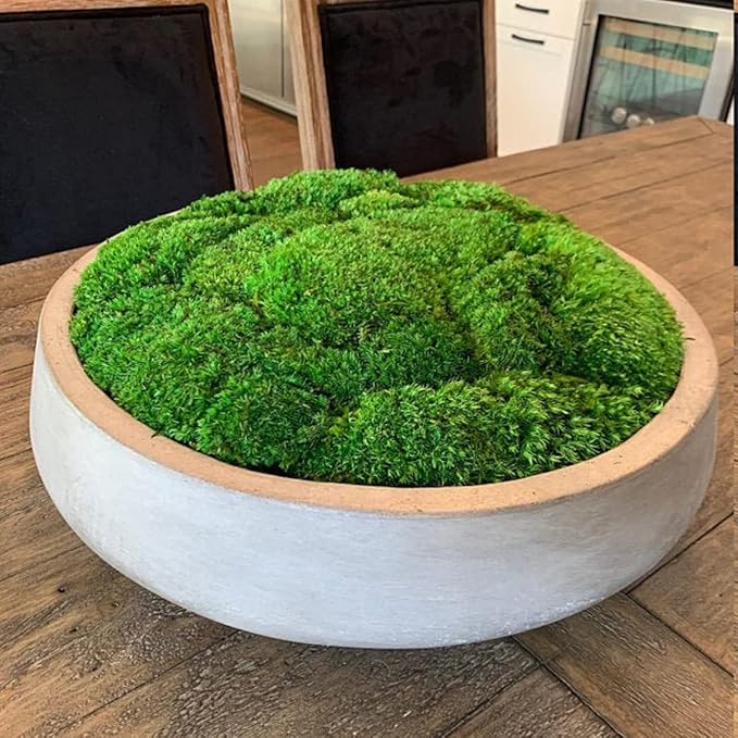 Preserved Pole Moss Pillow Bun Cushion Natural Green Decorative Real Natural Green DIY Kit Terrariums Gardenning Art Wall Decor Florist Decor Easter Table Decor Wedding(4.5 sq.ft., Green-B)