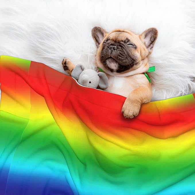 Reversible Plush Dot Pet Blanket for Dogs and Cats, Colorful, Ultra Soft Two Sided Design with Warm Fuzzy Side and Smooth Side for Comfort