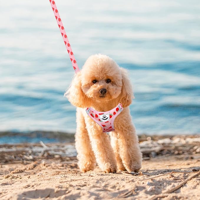 EXPAWLORER Small Dog Harness and Leash Set - Cute Puppy Harness Leash Dog Collar with AirTag Holder Silicone Case, Soft Padded Step in Pet Vest Reflective for Outdoor Walking, Strawberry S