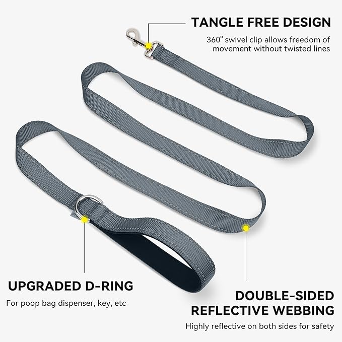 Joytale Dog Leash, 4 FT Double-Sided Reflective, Padded Handle Nylon Heavy Duty Leashes for Small Dogs Walking, Grey