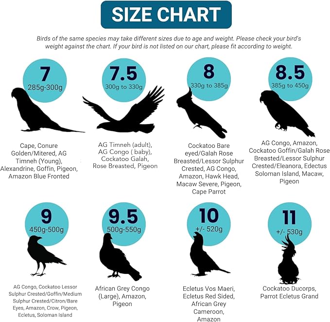Bev's Bird Boutique Regular Flyper Adjustable Bird Diaper | Reusable, Washable Cloth | Comfort Fit for Parrot, Cockatiels, & Other Small Birds | Fashionable Avian Accessories, Regal, Size 8.5