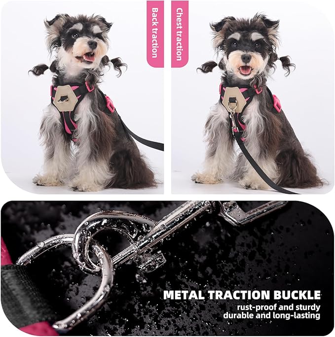 Small Dog Harness and Leash Set, Breathable Mesh Puppy Harness, Adjustable Dog Harness for Small Medium Large Dogs, No-Pull Pet Harness for Daily Walking (Hotpink, Large)