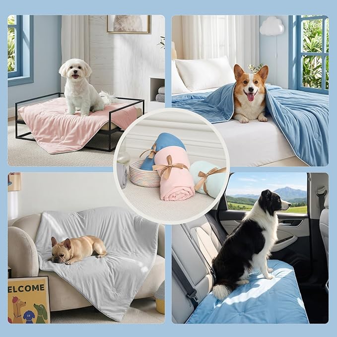 Soulbond Cooling Blanket for Extra Large Dogs - Q-MAX>0.45, Washable Cool Pet Cats Throw Blanket for Hot Weather, Self-Cooling Soft Dog Mat for Bed Crates Couch Sofa Cars(50"x60", Aqua Green)