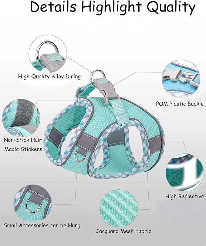 Petank Dog Harness for Small Medium Dogs No Pull, Puppy Harness and Leash Set, Step in Dog Harness for Walking, Running, Training, Small Dog Vest(Bule, XXS)