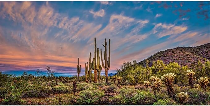 AWERT 36x20 inches Terrarium Background Blue Sky Cloud Huge Cactus Oasis Gobi Reptile Habitat Background Vinyl