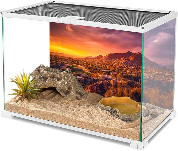 AWERT 24x12 inches Sun and Desert Terrarium Background Mountain Oasis Gobi Reptile Habitat Background Vinyl