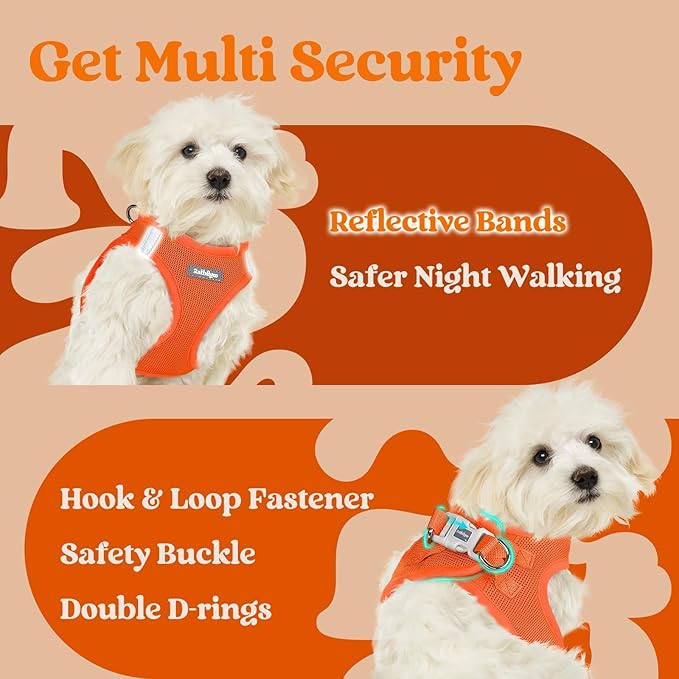 rabbitgoo Small Dog Harness, Step-in Soft Mesh Puppy Vest with Safety Buckle, Breathable Reflective Pet Harness for Large Dogs, Orange XXL