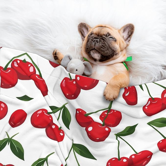 Cherry Print Soft Plush Pet Blanket, Washable Dog Blanket, Cat Fleece Throw, Puppy Bed Crate Mat & Sofa Couch Protector - Small