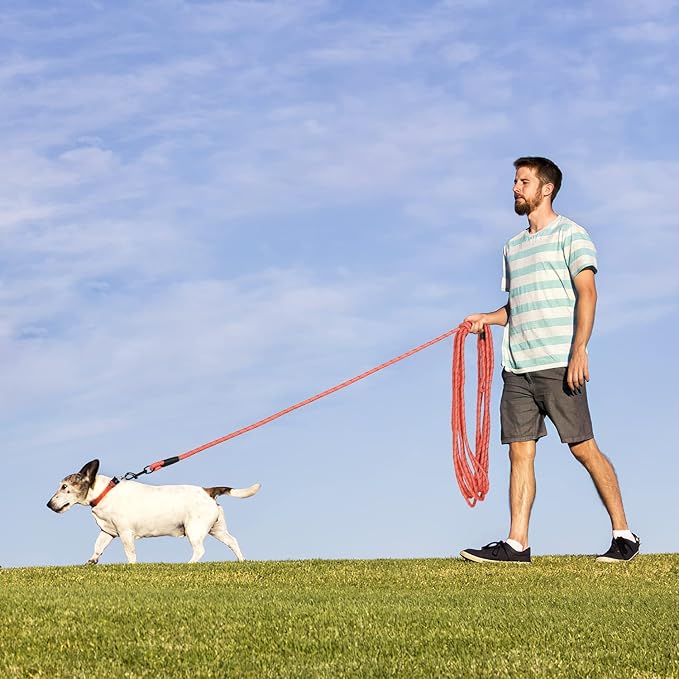 Long Dog Leash for Training 20Ft-Reflective Nylon Rope with Swivel Hook-Recall Agility Lead for Large Small Medium Dogs Outside Walking Hiking-Orange Diam 1/2"