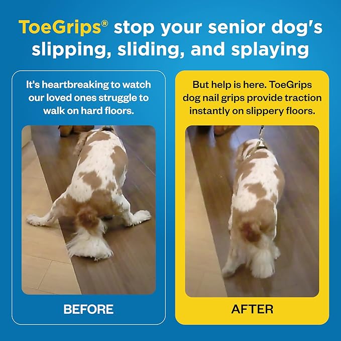 Dr Buzby's XXLarge ToeGrips for Dogs - Instant Traction on Wood/Hardwood Floors - Anti Slip Relief - Grippers for Senior Dogs - Stop Sliding Instantly - Rubber Nails for Paws - 1 Pack (20 Grips)