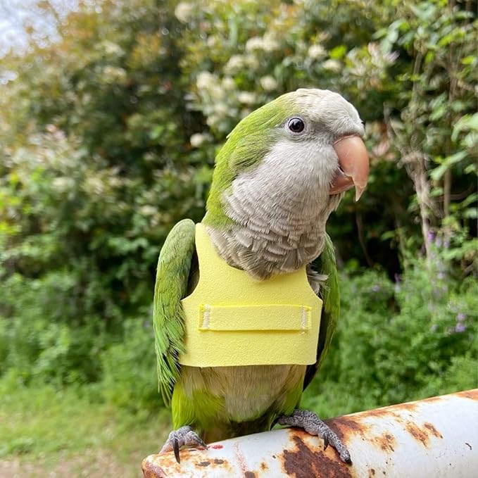 Bird Flight Harness Vest, Parrot Flight Suit with Leash for Parakeets Cockatiels Conures Budgies, Bird Flying Clothes with Rope and Handle for Outdoor Activities Training (M, Yellow)