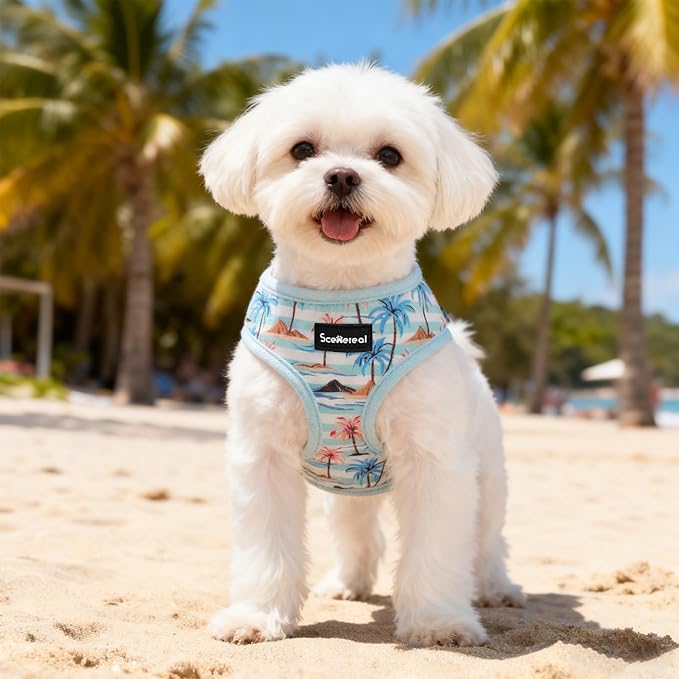 SCENEREAL Small Dog Harness and Leash Collar Set - No Pull Dog Harness for Small & Medium Sized Dogs - Soft Mesh Vest for Puppies, Chihuahua, Yorkie, Spring Summer Hiking Walking, Coconut Tree S