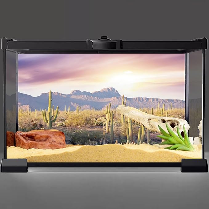 AWERT Reptile Habitat Background Blue Sky Oasis Mountain Cactus Sun and Desert Terrarium Background 36x18 inches