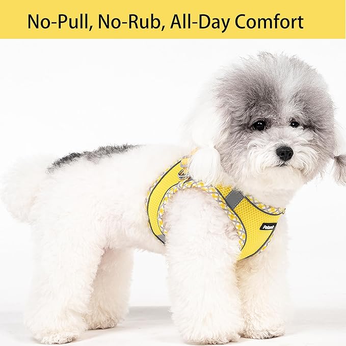 Petank Dog Harness for Small Medium Dogs No Pull, Puppy Harness and Leash Set for Walking, Running, Training, Small Dog Harness, Medium Dog Harness (Yellow, XXS)