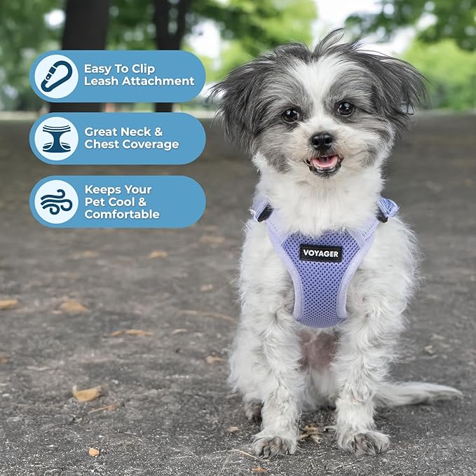Best Pet Supplies Voyager Adjustable Step-in Flex Breathable Mesh Dog Harness for Small Medium Large Dogs (Lavender), L
