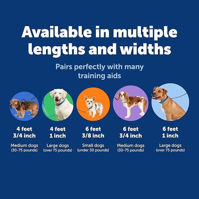 PetSafe Nylon Leash - Helps Maintain Secure Connection on Walks - Durable Pet Leash with Easy Clip - 1 in. x 6 ft. - Apple Green
