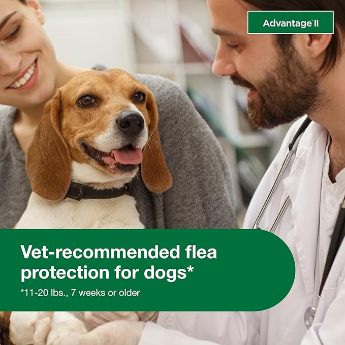 Advantage II Medium Dog Vet-Recommended Flea Treatment & Prevention | Dogs 11-20 lbs. | 6-Month Supply
