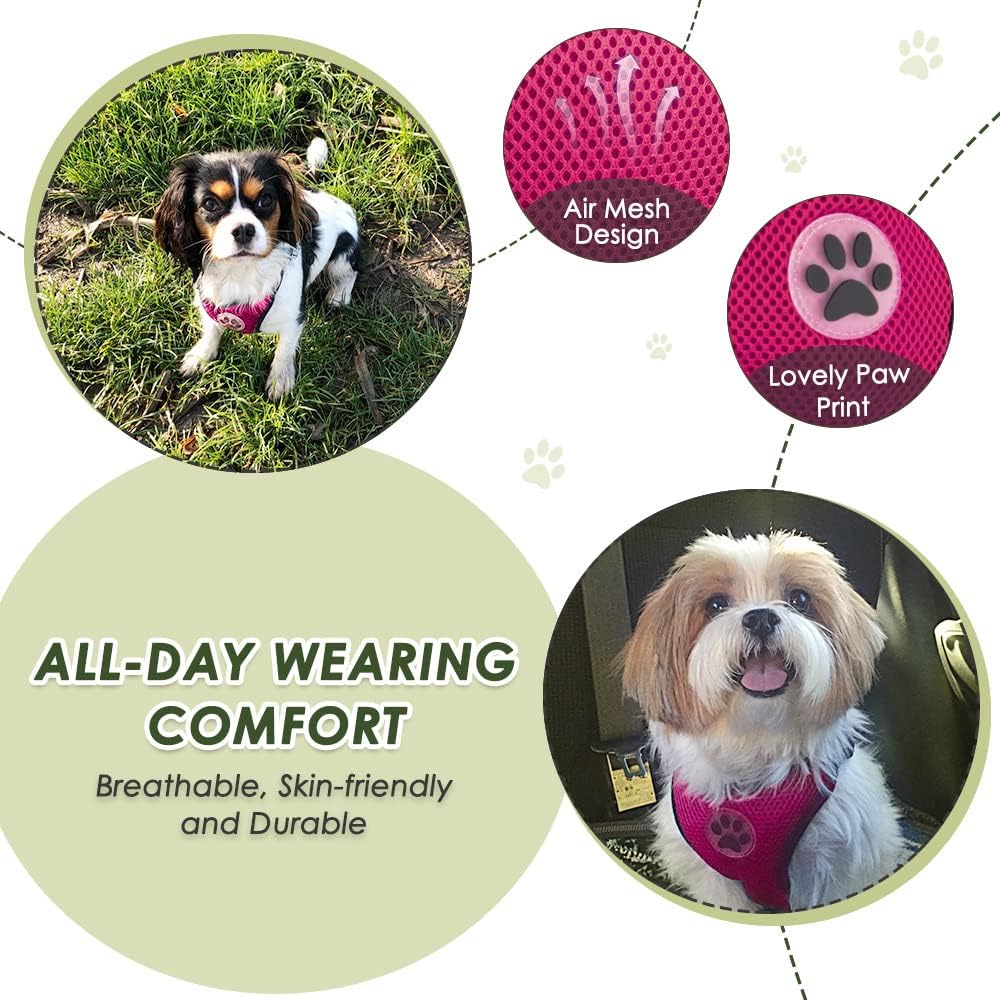 SlowTon Dog Seat Belt Harness for Car, Dog Car Harness Adjustable Mesh Breathable & Dog Seatbelt Safety Tether with Elastic Bungee for Small Medium Large Pets(Fuchsia, Double Clip, M)