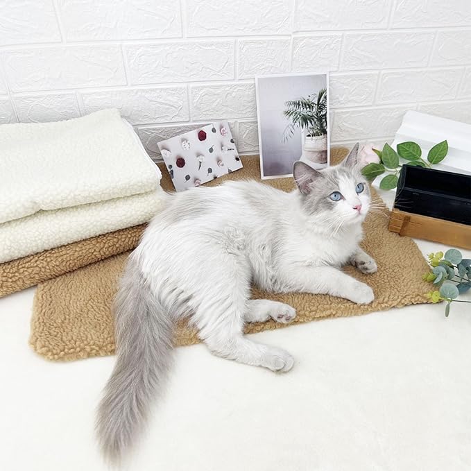 Dog Bed Pad Soft Comfortable Lamb Wool Pet Sleeping Mat Durable Pet Bed Mat for Indoor Use Gift for Dogs Cats Small Medium Large Pets (Brown)