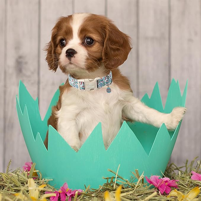 Easter Dog Collar for Medium Dogs - Blue Sleepy Bunny Egg Easter Collars for Boy Girl Dogs, Adjustable Spring Holiday Pet Collars with Quick Release Buckle M