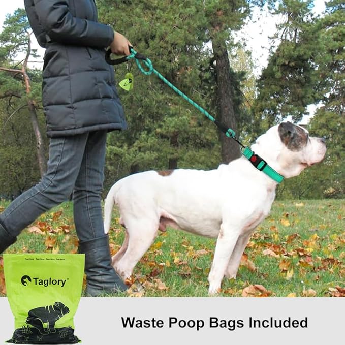 Taglory Rope Dog Leash 4 FT with Comfortable Padded Handle, Highly Reflective Threads Leash and Anti-Tangle Clip for Walking Medium Large Dogs, 1/2 inch, Turquoise