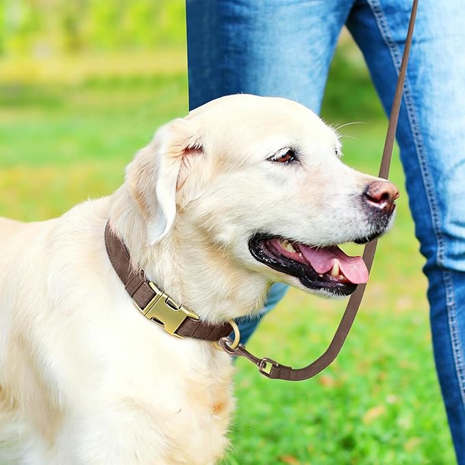 Genuine Leather Dog Collar - Adjustable Pet Collar with Quick Release Metal Buckle, Soft Skin Friendly Real Leather Collar for Small, Medium, Large Dogs (Dark Brown, L：Fit 15-23" Neck)