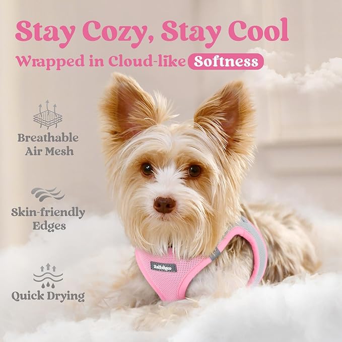 rabbitgoo Small Dog Harness, Step-in Soft Mesh Puppy Vest with Safety Buckle, Breathable Reflective Pet Harness for Small Sized Dogs, Pink & Gray S