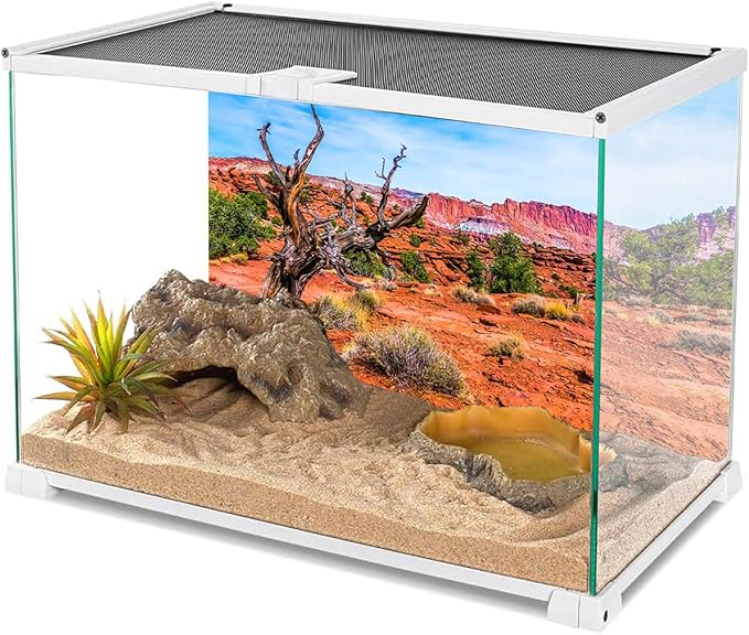 AWERT 48x24 inches Reptile Habitat Background Blue Sky Oasis Orange Desert Terrarium Background Polyester Background