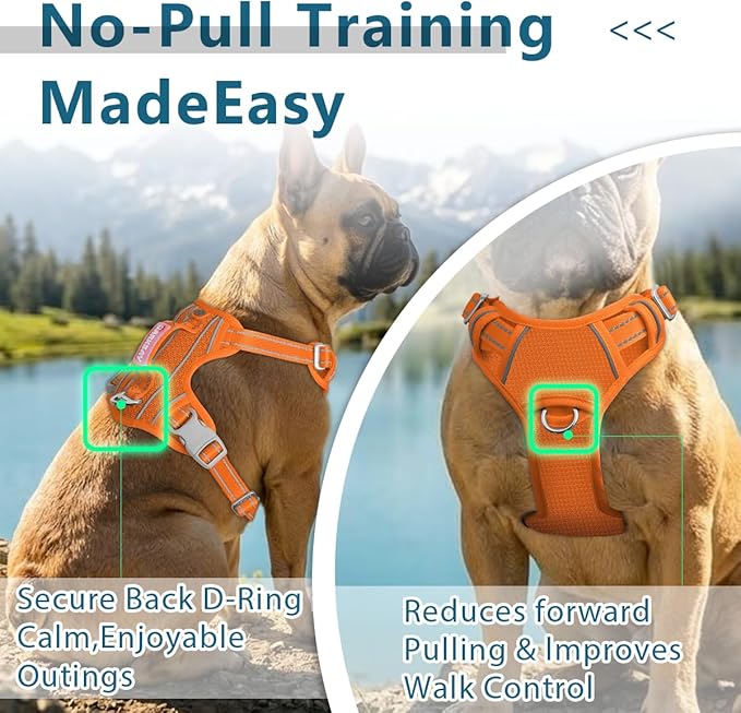 BARKBAY Dog Harness No Pull with ID Tag Pocket - Heavy Duty, Reflective, Easy Control for Large Dogs(Orange,XL)