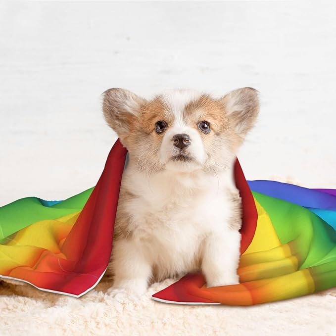 Double Sided Pet Throw for Dogs Who Shed, Colorful, Reversible Blanket with Nubby Dot Side Catches Loose Fur for Easier Furniture Cleanup