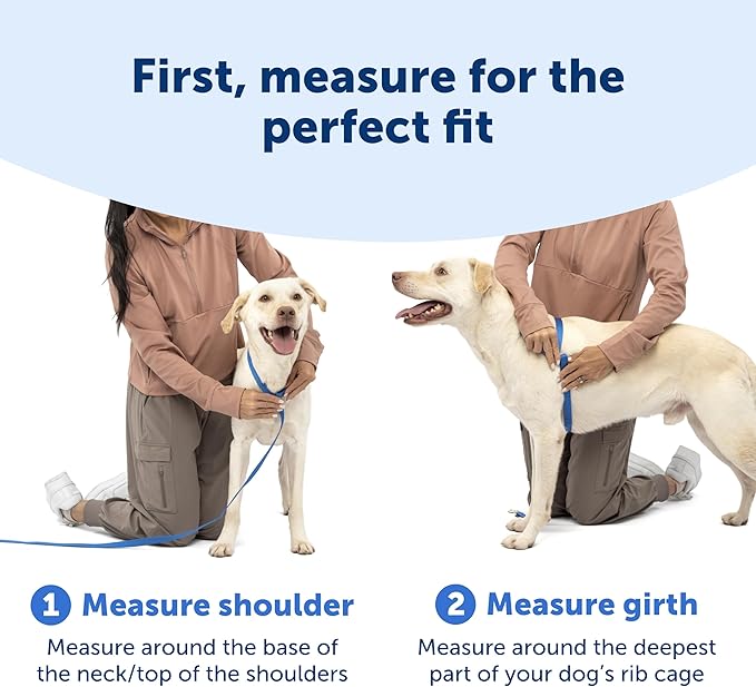 PetSafe Easy Walk Comfort No-Pull Dog Harness - Better Walk Training Harness - Full Body Padded Design - Durable Fabric - 5 Point Adjustable Fit - Everyday Leash Training - Pink - Small/Medium