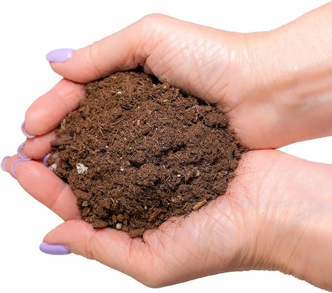 GARDENERA Citrus Tree Potting Soil Mix, Special Blend for Indoor Oranges, Lemons, Limes and More - (4 Quart Bag)