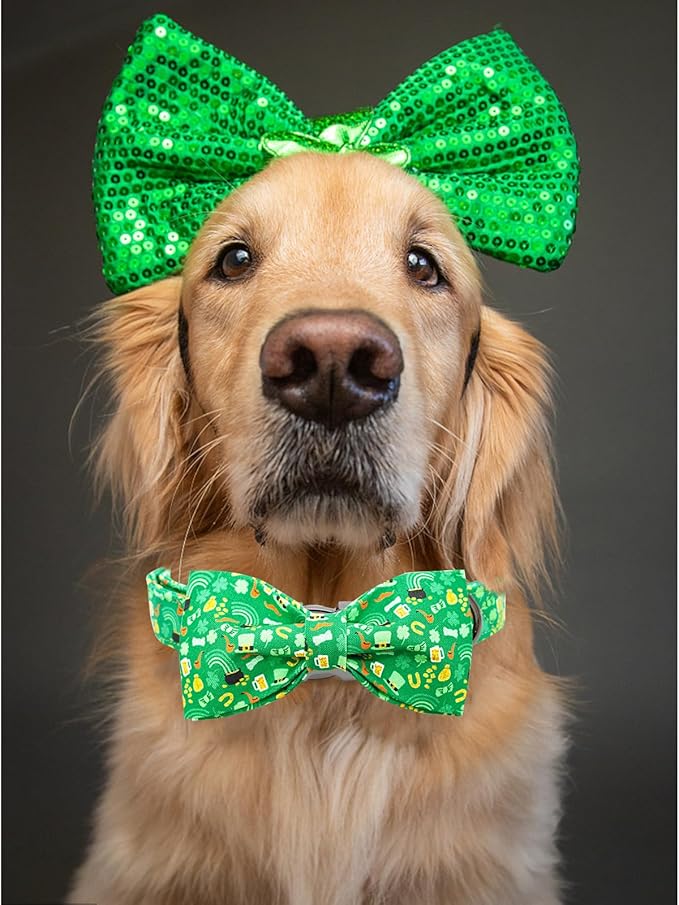 Lionheart glory Dog Bow Collar St. Patrick's Day Dog Collar for Small Dogs, Adjustable Green Collars Lucky Clover Shamrock Dog Collar with Bowtie Pet Collar Bows