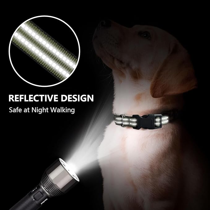 Martingale Dog Collar, Adjustable Nylon Reflective Collar with Quick Release Buckle (Forest Green, Medium)
